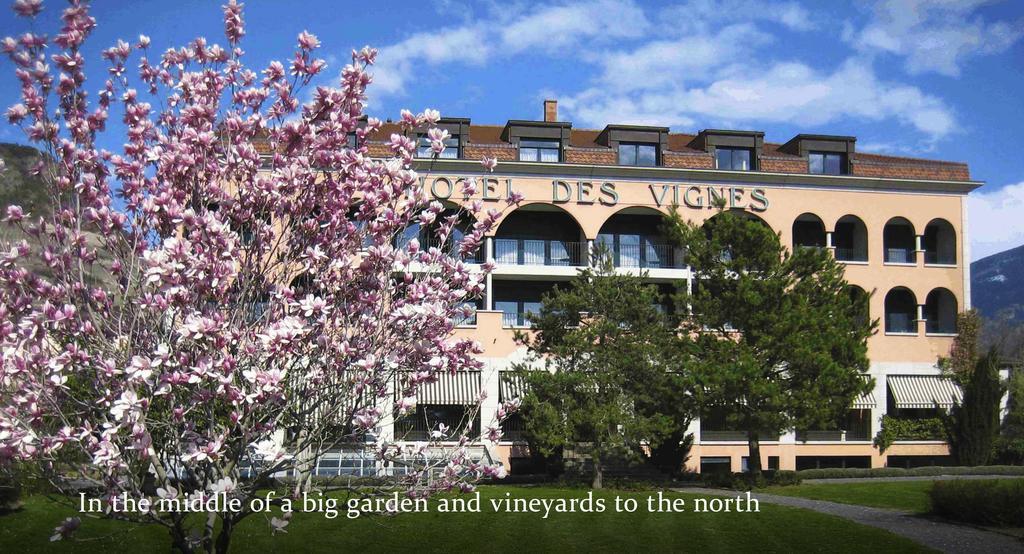 Hotel Des Vignes Saint-Leonard Bagian luar foto